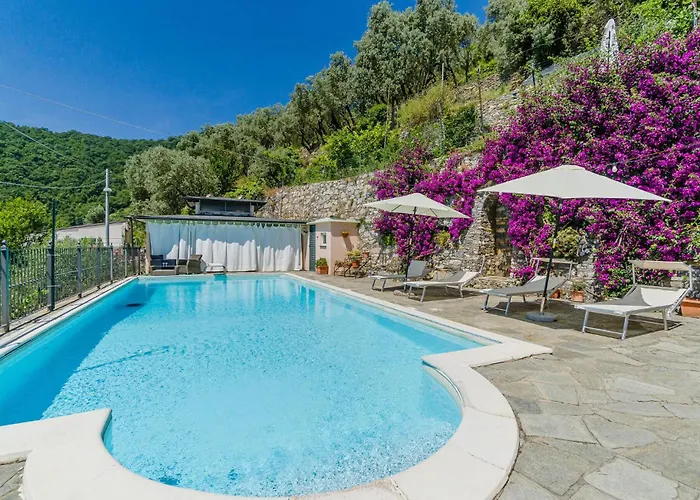 Stunning In With Kitchen * Recco